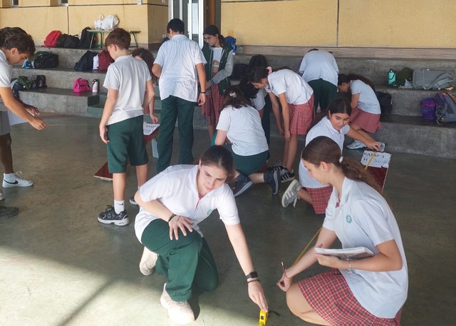 Grade 8 Speed Activity