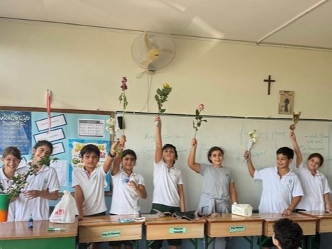 Gr.5 Activity about Xylem and Phloem Tissues